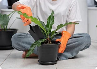 a person sitting on the ground putting soil in a plant